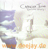 Capoeira Twins - Reansville Heights 2x12"