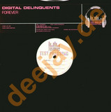 Digital Delinquents - Forever The Mixes