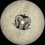 Markus Homm - Pleasure