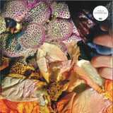 Soela - Genuine Silk 2x12"