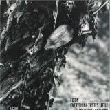 Fixon - Everything Tastes Little LP