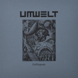 Umwelt - Collapsar