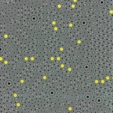 2400 Operator - Nv Electro Ep