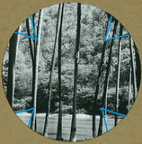 Four Tet - Lion / Peace For Earth