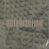 Hallucinator - Landlocked (2x12")