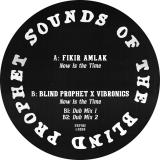 Blind Prophet & Vibronics - Now Is The Time ft. Fikir Amlak