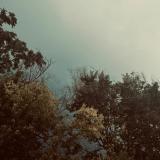 Zake - Lowland: In Three (TAPE)
