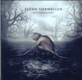 Björn Torwellen - Metacollapse