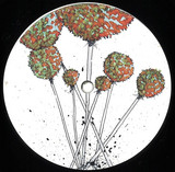 The Electricalz - Landscapes