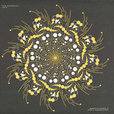 Anestie Gomez / Denis Kaznacheev - The Wieferich Pair