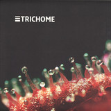 Jorge Gamarra - Introversion Ep