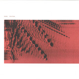 Korridor - End of Cycle 2x12"