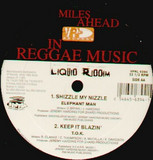 Elephant Man - Shizzle My Nizzle