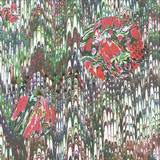 Evil Madness - Super Great Love