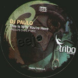 Dj Paulo & Todd Dutkevitch - The Brazilian Rainforest