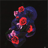 Hyroglifics - Stone Rose EP