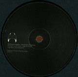 Gianluca Angelini - Nonlinear Dynamics