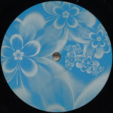 ANF - Costly Blooms On The Eve Of Collapse