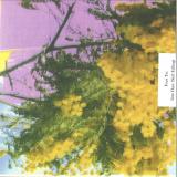 FOUR TET - INTO DUST (STILL FALLING)