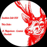 Napoleon & Hristo - Sudden Edits Ep