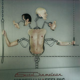 Secta Chameleon - More Than A Feeling