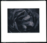 Cio D'or - All In All