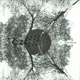 Luciano & Quenum - Funky Dandy / Orange Mistake