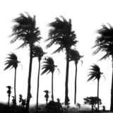 Magazzini Criminali - Crollo Nervoso