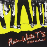 Plain White T’s - All That We Needed
