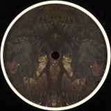 Birds ov Paradise - Bayou