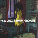VARIOUS - Acid Jazz & Funky Grooves 2x12"