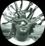 Matt Star - Casionation