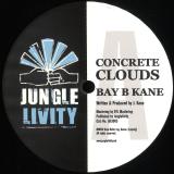 Bay B Kane - Concrete Clouds / Bless We Aurora