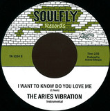 The Aries Vibration - I Want To Know Do You Love Me