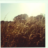 Marquis Hawkes - Sweet