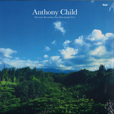 Anthony Child - Electronic Recordings From Maui Jungle, Vol. 2