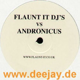 Flaunt It Djs Vs. Andronicus - Whole In One