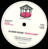 Dj Raw Sugar - Disco Land