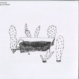 Magda Drozd - Songs for Plants