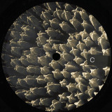 Oscar Mulero - Electric Shades EP 2x12"