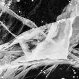 Pushmann - The Balance 2x12"