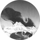 Various - Stepfamily