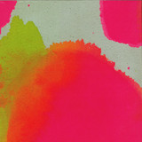 Masks - Food Plus Drug (ii)