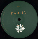 Va ( Nopax, Solah, Type X) - Dahlia997