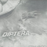 Diptera - 001 (Antenna)