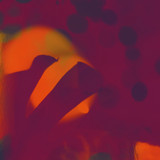 Perfect Body/ Zac White - Fields/ Spent On You