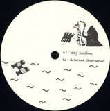 Rai Scott - Detached Observation