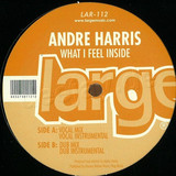 Andre Harris - What I Feel I