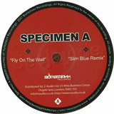 Specimen A - Fly On The Wall