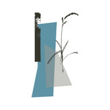 Jogging House - When